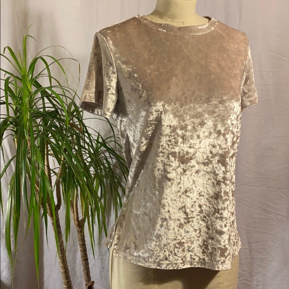 Pale Pink Crushed Velvet Crew Neck Stretchy Top